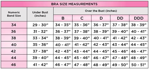 Official Celebrity Bra Size List